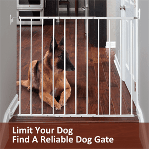 Find amazing and reliable dog gates