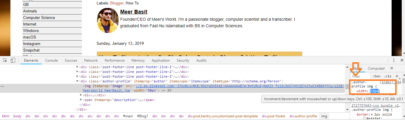 You can see that there is a class .auhtor-profile img, for which you have to insert the code.