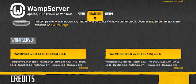 How To Install WampServer On Windows 10 - For Beginners | How To Run Website From Localhost How To Install WampServer On Windows 10 - For Beginners | How To Run Website From Localhost