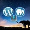 How To Install WordPress On MAMP Server In Windows 10