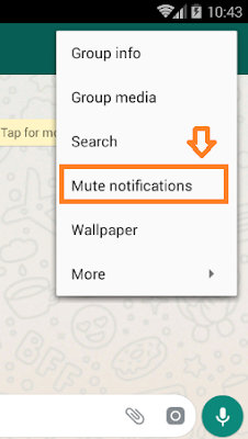 How To Mute WhatsApp Group Chat Notifications On iPhone & Android | WhatsApp Tips