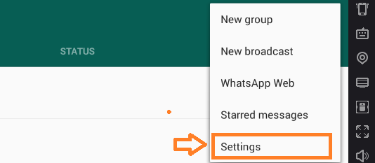 How To Read The WhatsApp Messages Without The Sender Knowing Or Without Blue Ticks | WhatsApp Tips