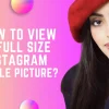 How to vew full Instagram private profile picture