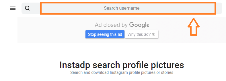 How To View Download Full Size Instagram Profile Picture Both Private Public Meer S World