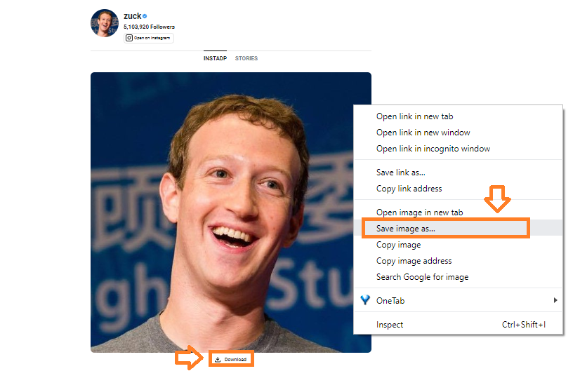 How To View Download Full Size Instagram Profile Picture Both Private Public Meer S World