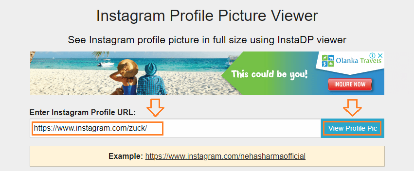 How To View Download Full Size Instagram Profile Picture Both Private Public Meer S World