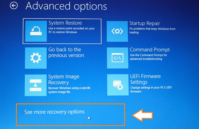 Click on the "See more recovery options" link.