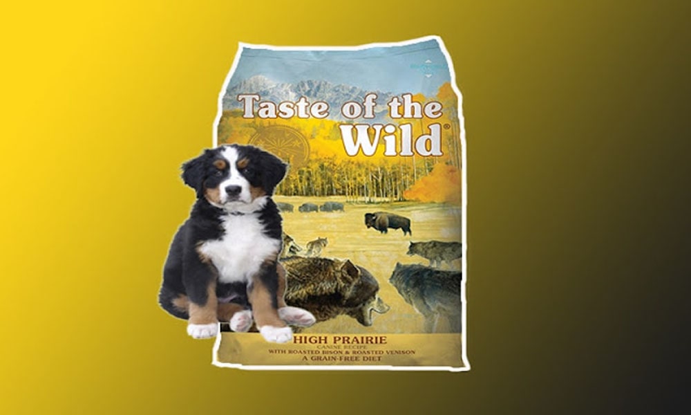 The Best Highly Digestible Dry Dog Food With Real Roasted Bison