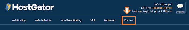 How To Buy Domain & Hosting
