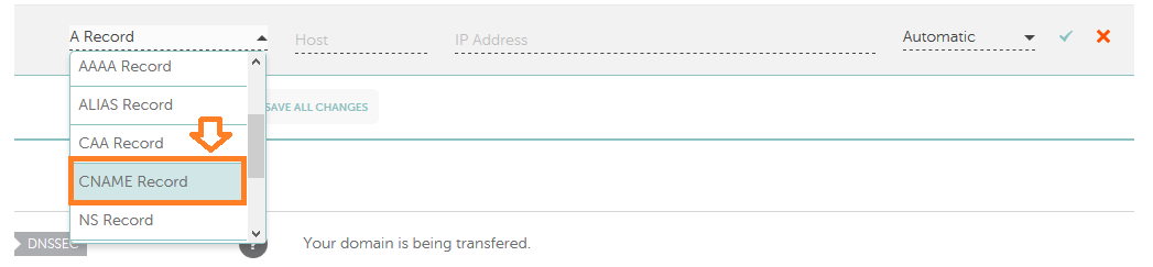 Choose the "CNAME Record" from dropdown list.