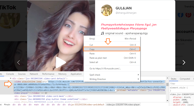How To Save/Download TikTok Videos On Computer Without Third-Party Tool 2