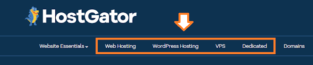 How To Buy Domain & Hosting