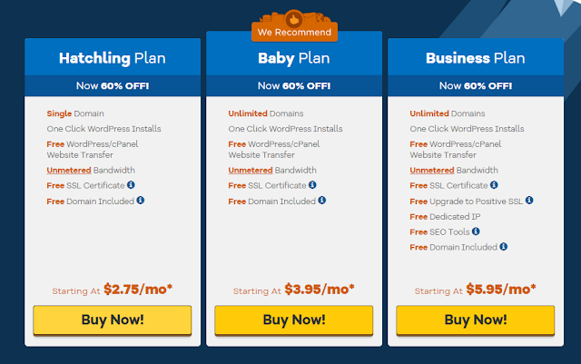 How To Buy Domain & Hosting