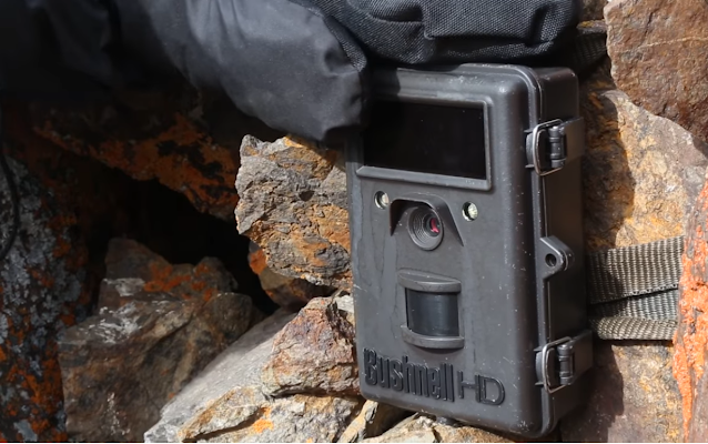 Modern digital cameras are installed in various points to track snow leopards.