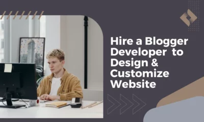 Hire a Blogger Developer to Design & Customize Website