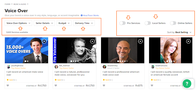 Hire Affordable Professional Voice Over Artist From All Over The World