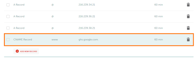 In Host, enter '"www". In Value, enter "ghs.google.com". In TTL, choose "60 min".