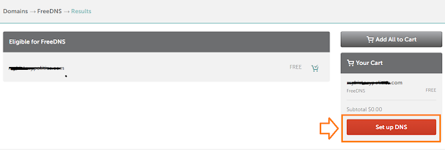 Click the "Set up DNS" button.