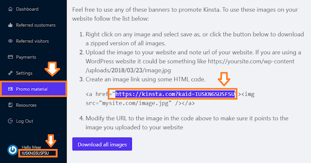 On your Kinsta Dashboard click on "Promo material".