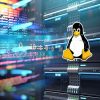 Best & Cheapest Linux Reseller Hosting In India & Worldwide