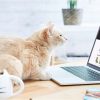 Best Pet Affiliate Program