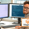 Expert Magento Developers