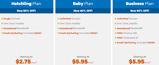 HostGator Magento Hosting Plans
