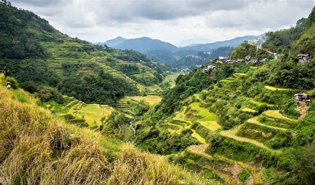 Rice terraces of the Philippine cordilleras