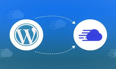 Best & Cheapest WordPress Hosting In India & Worldwide