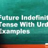 Future Indefinite Tense With Urdu English Examples