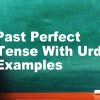 Past Perfect Tense With Urdu English Examples