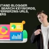 Understand Blogger Stats | Search Keywords, Top Referrering URLs, Referrers