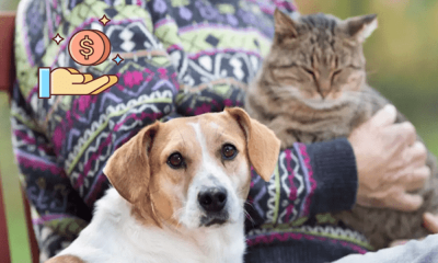Pet Insurance Affiliate Program