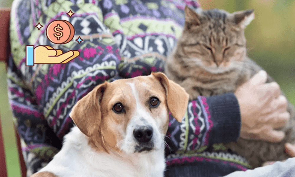 Pet Insurance Affiliate Program