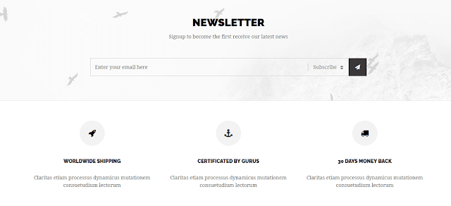 Best 3dcart Responsive Templates | Leo Titanium 3