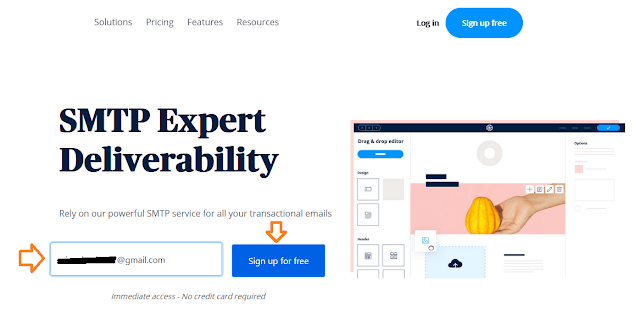 How To Configure WP Mail SMTP For Sendinblue Mailer - WordPress 2