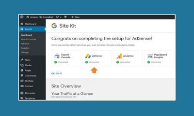 Connect AdSense With WordPress