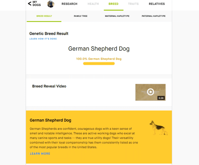 This is the online test result sent by Embark. It identifies the dog as "100% German Shepherd Dog"
