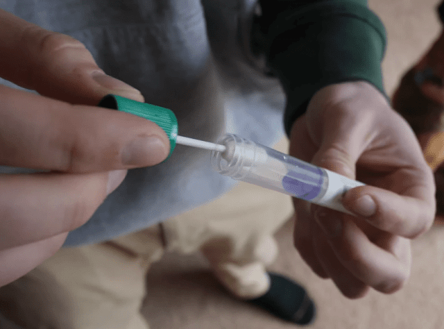 Insert swab into tube with tip facing down. Close the cap and shake 10 times. Insert swab into tube with tip facing down. Close the cap and shake 10 times.
