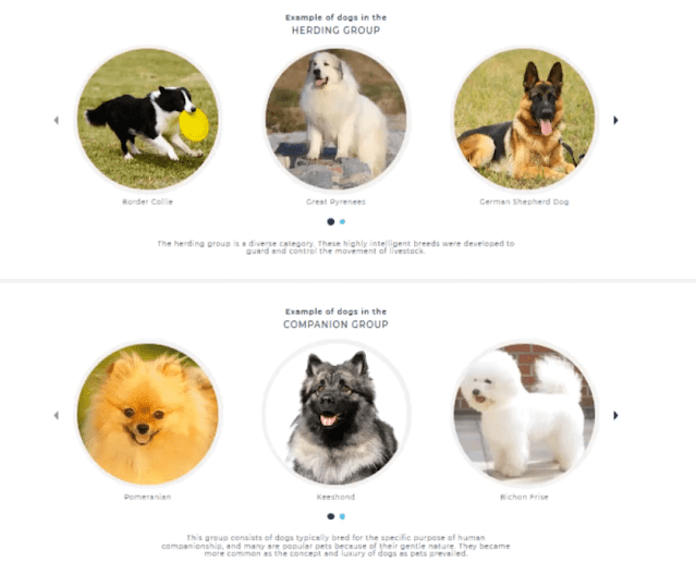 Here it is suggesting the possible dog breeds from 25% Breed Group.