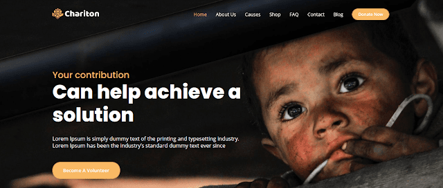 Chariton is an extremely clean, elegant, modern and fast theme with 5 homepage layouts, suitable for Event Donation, NGO, Social Organizations, Government 