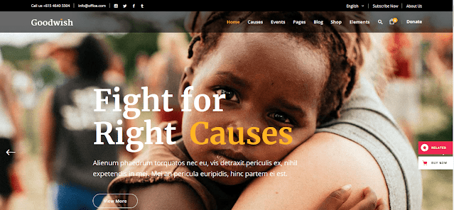 Nonprofit Fundraising & Charity WordPress Themes With Donation System | Goodwish