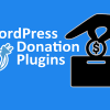 WordPress Donation Plugins