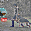 How A YouTube Channel & Blog On Pets Help In Making Money Online