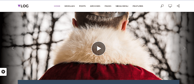 Professional WordPress Themes For Blogging and Vlogging 3