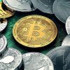 Premium Cryptocurrency WordPress Plugins