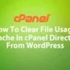 How To Clear cPanel File Usage Cache Directly From WordPress