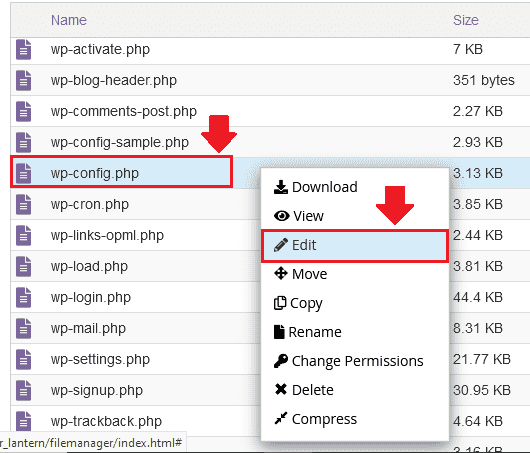Click on the "wp-config.php". Click on the "Edit".
