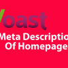 Yoast Doesn't Show Tagline Homepage Meta Description In Google
