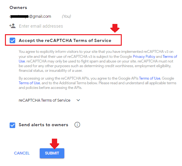 Tick "Accept the reCAPTCHA Terms of Service". Click on the "Submit" button.